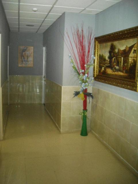 Hostal Ds Velilla de San Antonio Εξωτερικό φωτογραφία